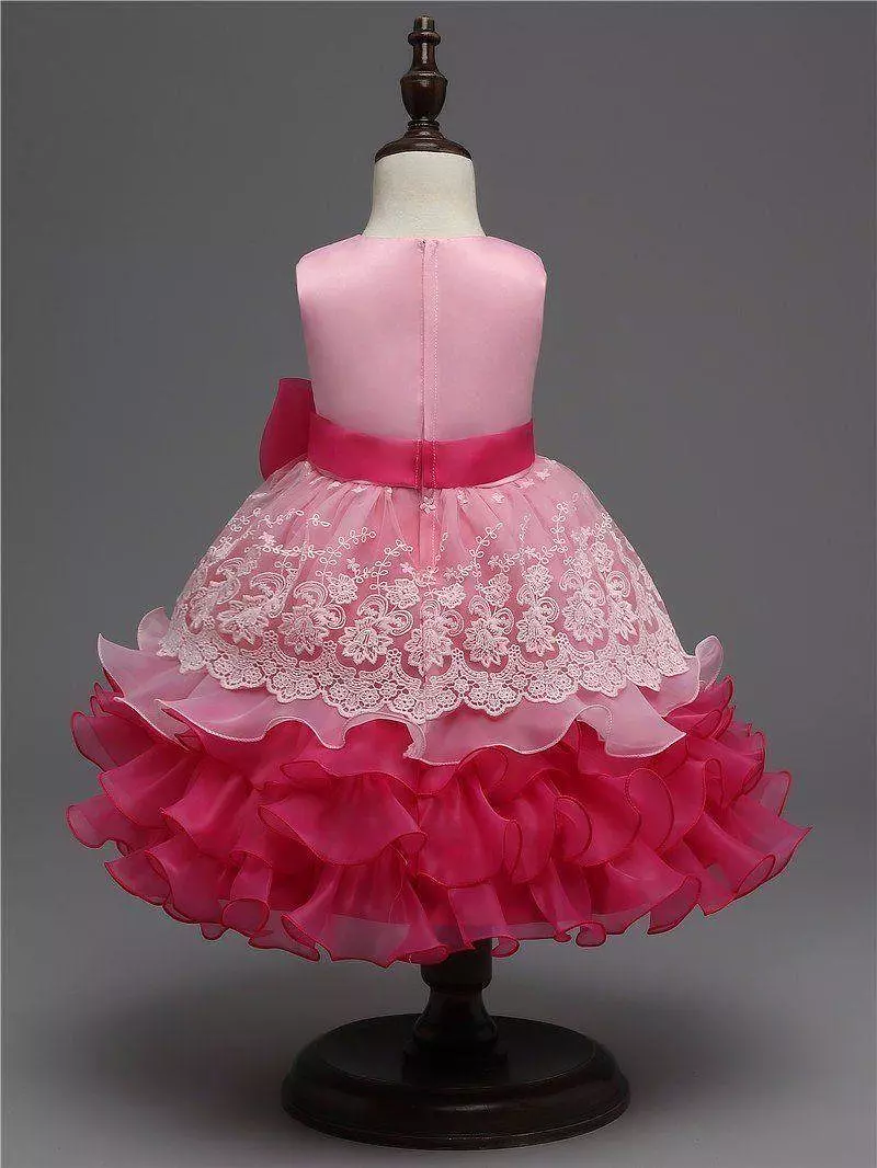 Baby Girls Princess Dress