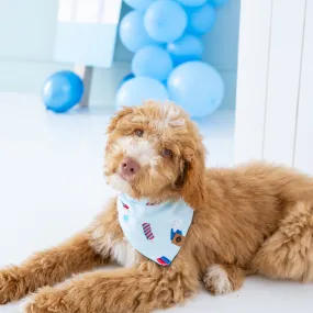 Dog Bandana in Popsicle