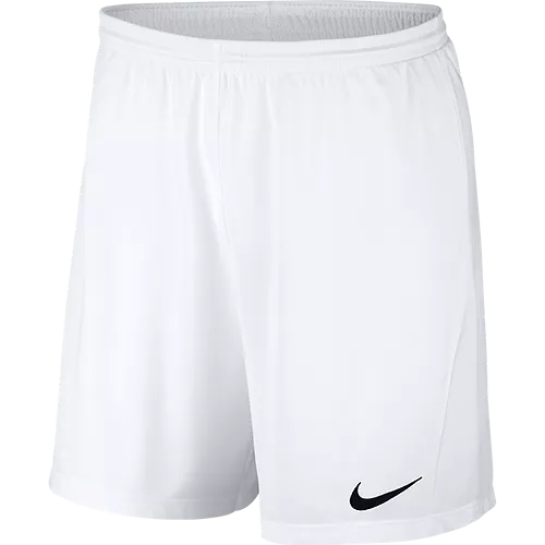 NIKE DRI-FIT PARK III SHORTS