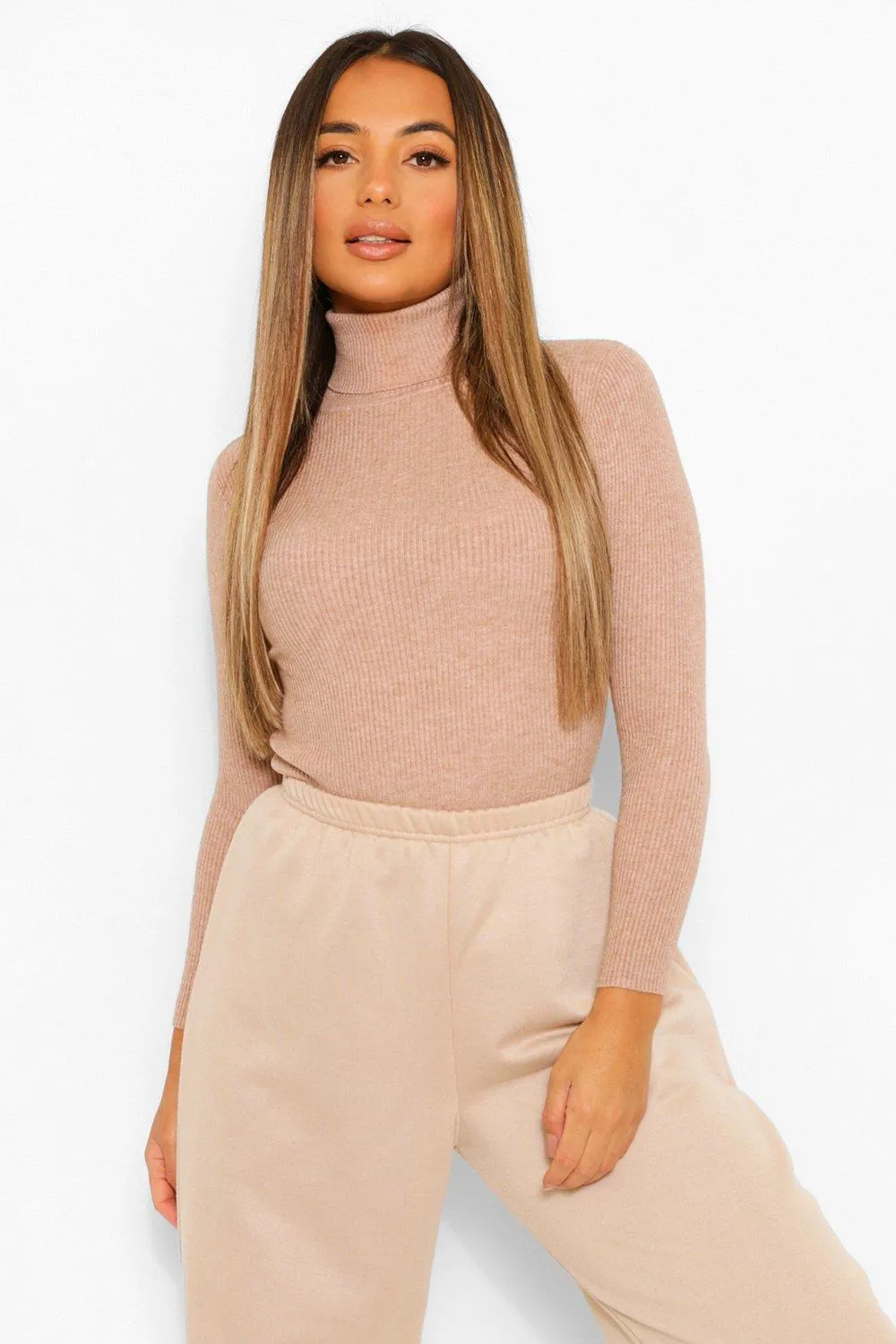 Petite Rib Knitted Turtleneck Sweater