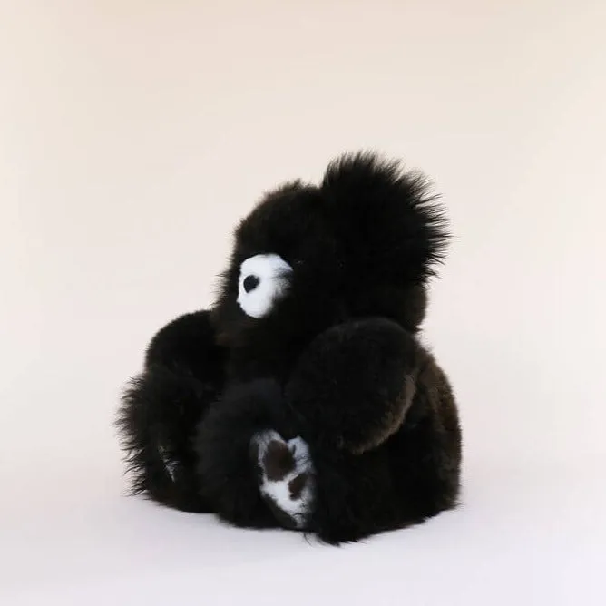 Toy Bear - Huacaya - Large Luxe